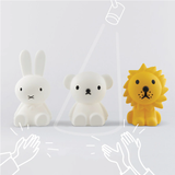 Boris Star Light Lamp
