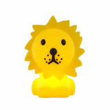 Lion Bundle Of Light