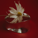 Jasmin Sparrow Ripple Bangle Silver