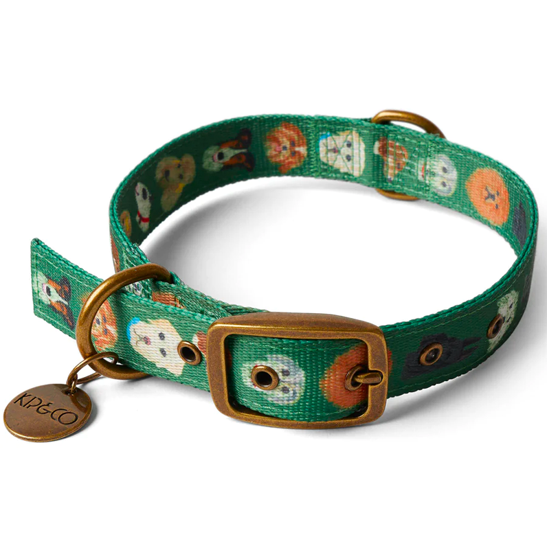 Kip Co Dog Park Collar Moi on George