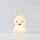 Miffy Bundle Of Light