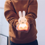 Miffy Bundle Of Light
