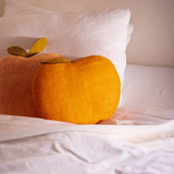 Muskhane Apricot Cushion - Apricot