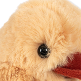 Fanga Fontana Peluche Mio
