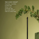 Glasshouse Christmas Tree Scent Stems Winter Wonderland