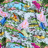 Kip & Co Jurassic Bamboo Swaddle