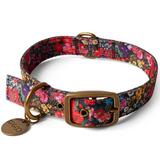 Kip & Co Forever Floral Black Collar