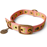 Kip & Co Sunflower Sunshine Collar