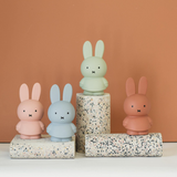 Miffy Money Box 19cm Powder
