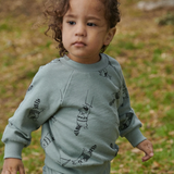 Nature Baby Emerson Sweater - Raccoon Rhapsody