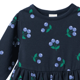 Nature Baby Long Sleeve Twirl Dress Winter Berry Navy Print