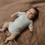 Nature Baby Short Sleeve Bodysuit Stripe Trio