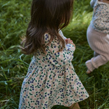 Nature Baby Long Sleeve Twirl Dress Grande Briarwood Print