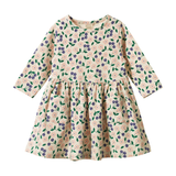 Nature Baby Long Sleeve Twirl Dress Grande Briarwood Print