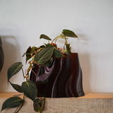 Special Studio Lulu Planter Amber Gloss