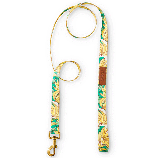 Kip & Co Bananarama Dog Lead featuring bunches of bananas and leaves on a white base