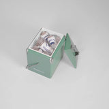 Napoleon Mini Chilly Bin - Sage