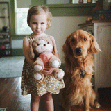 Olli Ella Dinkum Dogs Honey