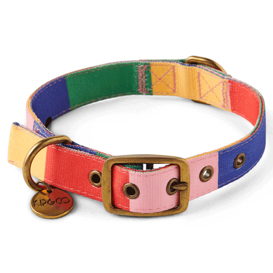 Kip & Co Rainbows End Dog Collar